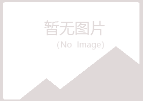 霍邱县山柳化学有限公司